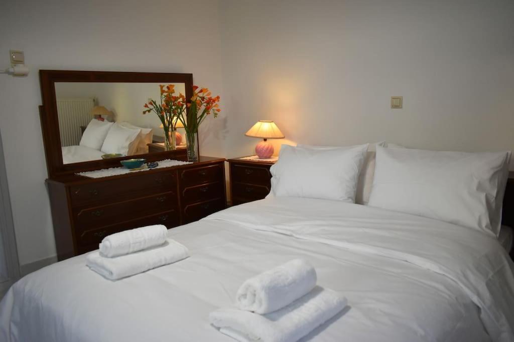 Apartament Thalia'S House Tríkala Zewnętrze zdjęcie