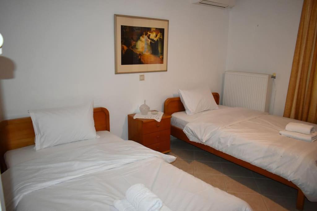 Apartament Thalia'S House Tríkala Zewnętrze zdjęcie
