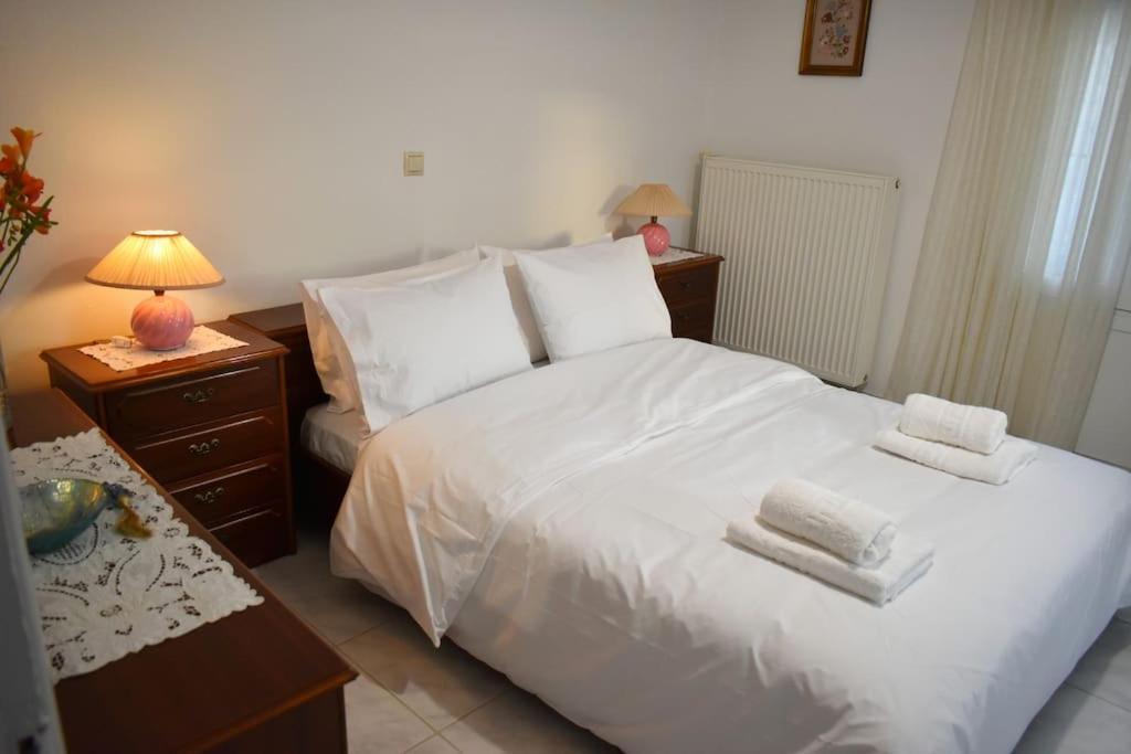 Apartament Thalia'S House Tríkala Zewnętrze zdjęcie