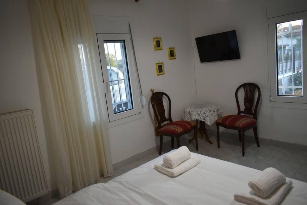 Apartament Thalia'S House Tríkala Zewnętrze zdjęcie