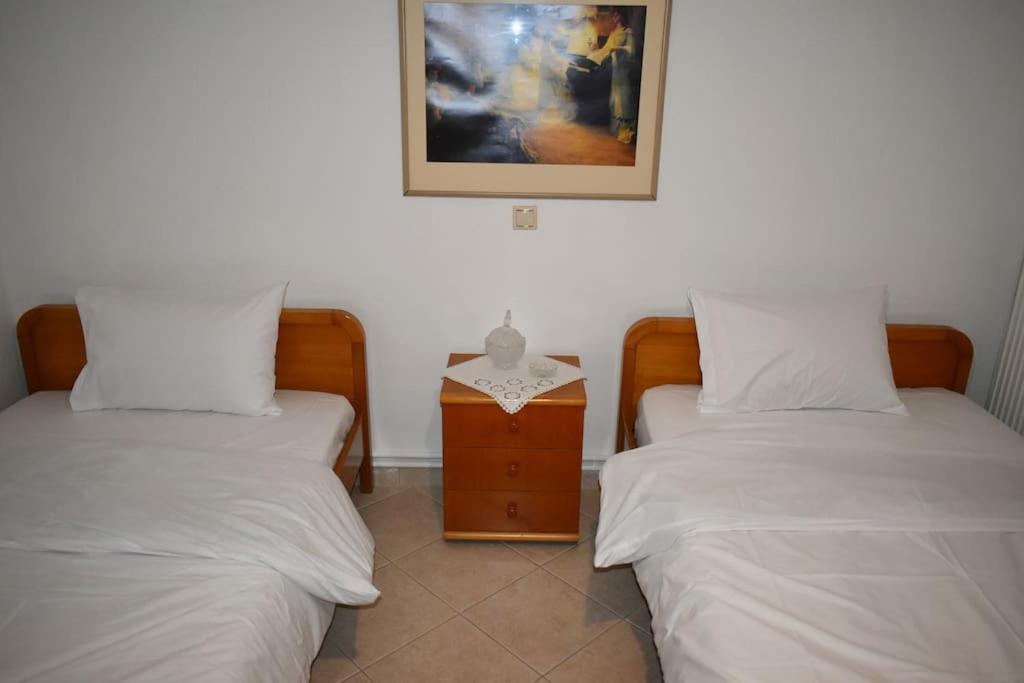 Apartament Thalia'S House Tríkala Zewnętrze zdjęcie
