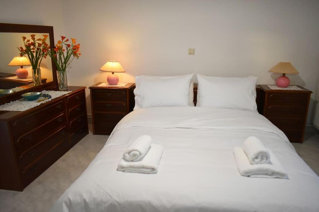 Apartament Thalia'S House Tríkala Zewnętrze zdjęcie