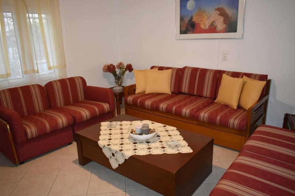 Apartament Thalia'S House Tríkala Zewnętrze zdjęcie